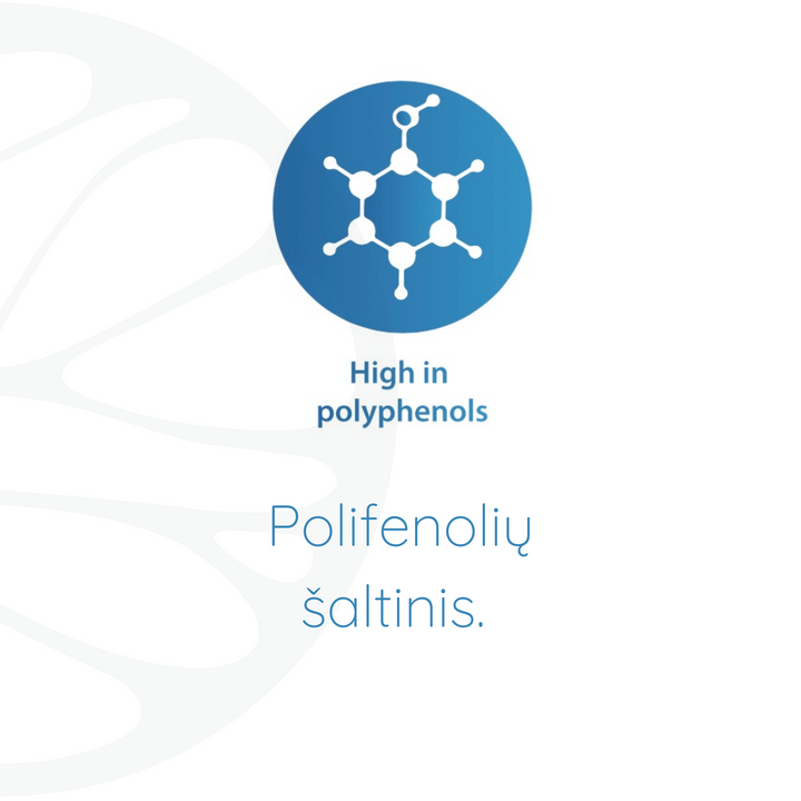 Bioguto Omega-3 Premium (ArcticMed) žuvų taukai NATURAL 300ml