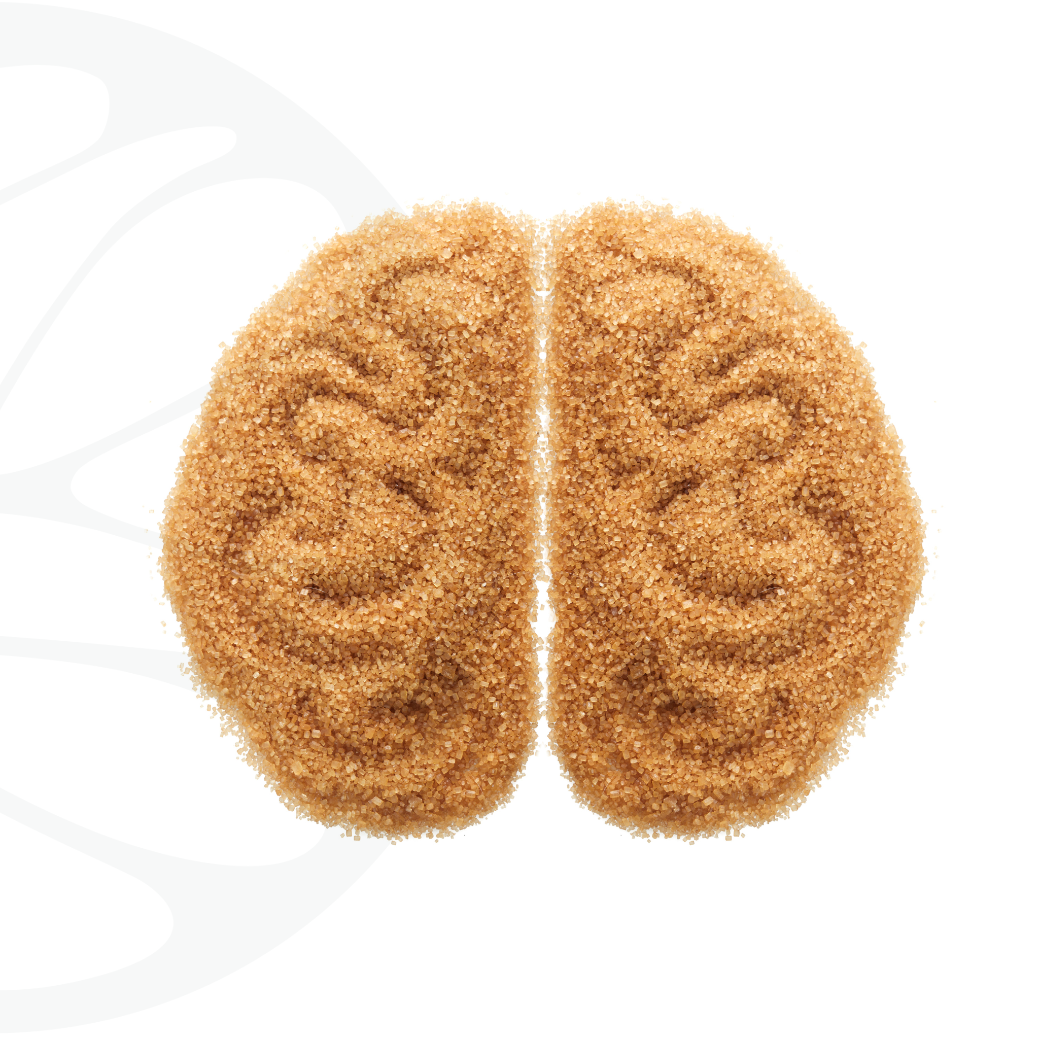 Omega-3 riebalų rūgštys ir psichinė sveikata – Bioguto